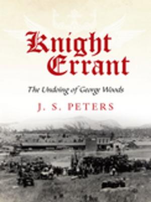 Cover of the book Knight Errant by Chris Hoffman