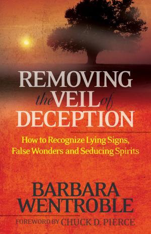 Cover of the book Removing the Veil of Deception by Jim Stovall