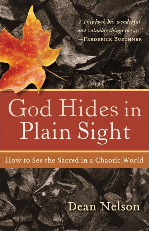 Cover of the book God Hides in Plain Sight by Paige Lee Elliston