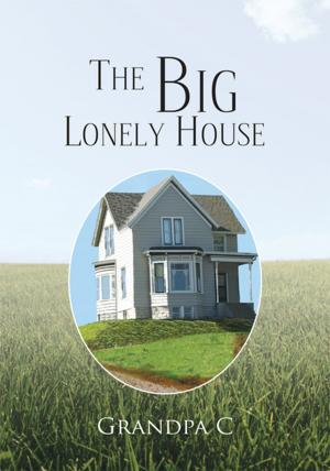 Cover of the book The Big Lonely House by Carol Strote