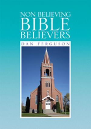 bigCover of the book Non Believing Bible Believers by 