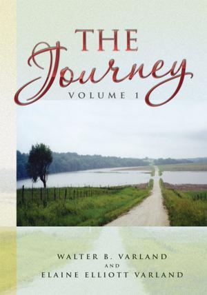 Book cover of The Journey