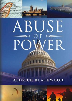 Cover of the book Abuse of Power by Preston Harper