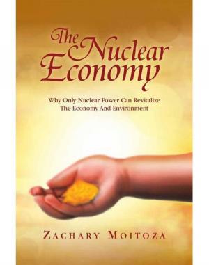 Cover of the book The Nuclear Economy by Marchela Wells