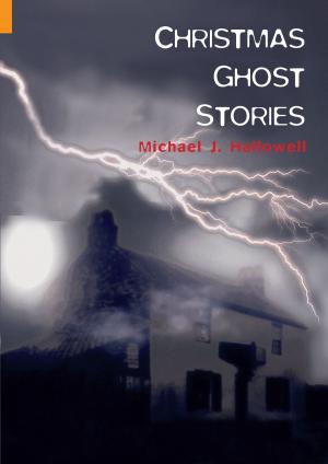 Cover of the book Christmas Ghost Stories by Steve Fielding