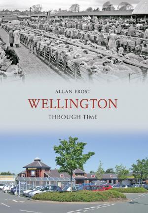 bigCover of the book Wellington Through Time by 