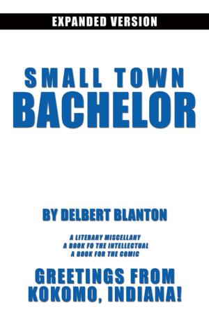 Cover of the book Small Town Bachelor Expanded Version by Veronica Odiase