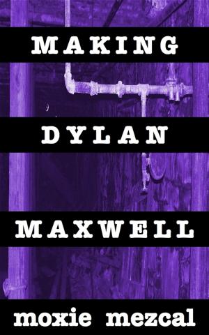 Cover of Making Dylan Maxwell