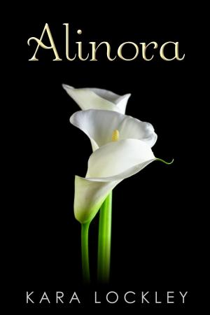 Cover of the book Alinora by Susan Reid