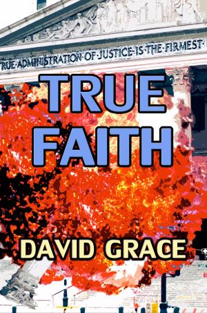 Cover of the book True Faith by David Grace