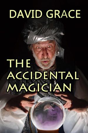 Cover of the book The Accidental Magician by Andy Bunch