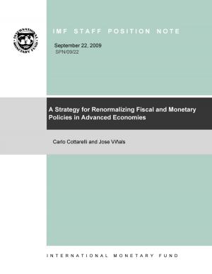 Cover of the book A Strategy for Renormalizing Fiscal and Monetary Policies in Advanced Economies by Nada Miss Choueiri, Klaus-Stefan Mr. Enders, Yuri Mr. Sobolev, Jan Mr. Walliser, Sherwyn Mr. Williams