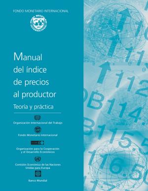 Cover of the book Producer Price Index Manual: Theory and Practice by Jack Mr. Diamond