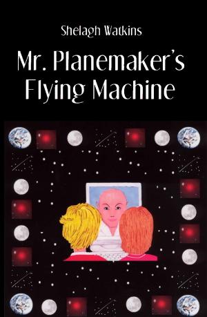 Book cover of Mr. Planemaker's Flying Machine
