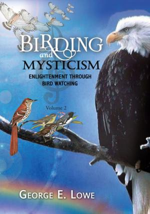 Cover of the book Birding and Mysticism Volume 2 by Popeye II