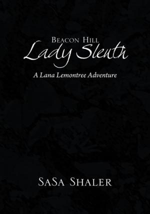 Cover of the book Beacon Hill Lady Sleuth by Crisjen Opperman
