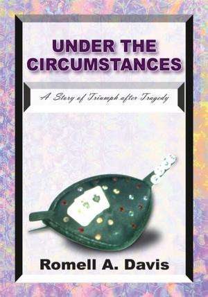 Cover of the book Under the Circumstances by Donna Nieri