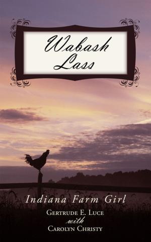 Cover of the book Wabash Lass by Donald H. Lingerfelt