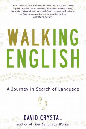 Cover of the book Walking English by Tiffany Schmidt