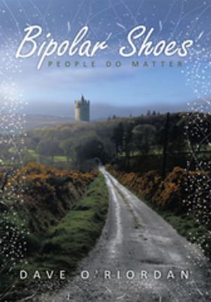 Cover of the book Bipolar Shoes by Bryan Craig