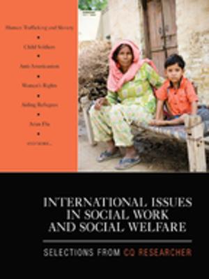 Cover of the book International Issues in Social Work and Social Welfare by Richard M. Gargiulo, Emily C. Bouck