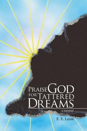 Cover of the book Praise God for Tattered Dreams by Jake Corner