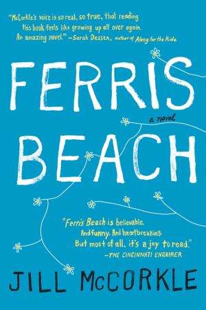 Cover of the book Ferris Beach by Gayle Forman