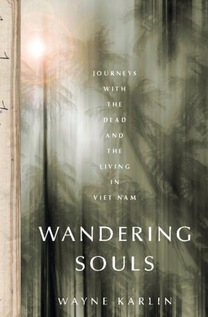 Cover of the book Wandering Souls by Robert Scheer