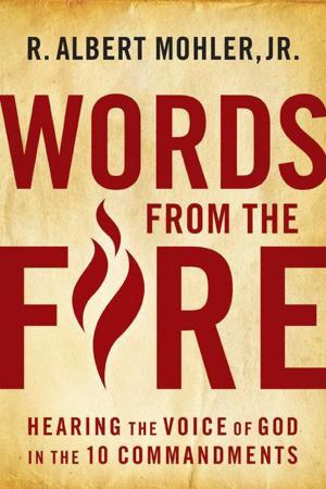 Book cover of Words From the Fire