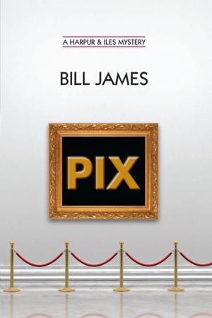 Cover of the book Pix (Vol. Book 24) (Harpur & Iles Mysteries) by Ginny Kay McMeans