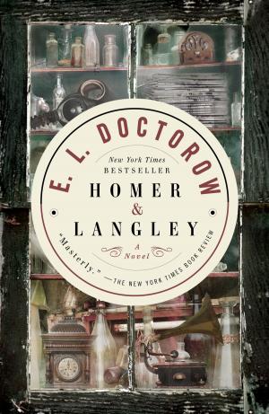 Cover of the book Homer &amp; Langley by Peter V. Brett