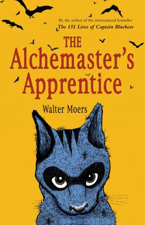 Cover of the book The Alchemaster's Apprentice by Megan Chance