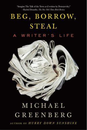 Book cover of Beg, Borrow, Steal