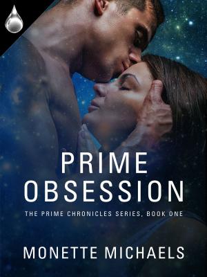 Book cover of Prime Obsession