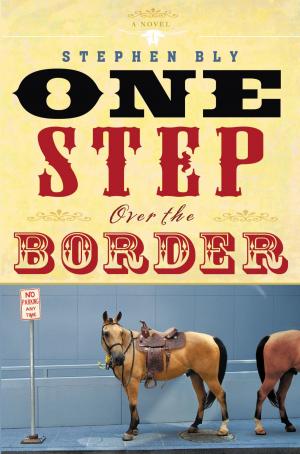 Cover of the book One Step Over the Border by Lauren Greutman