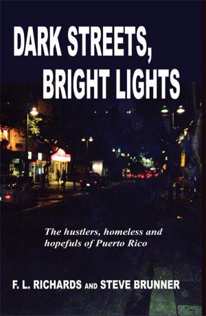 Book cover of Dark Streets, Bright Lights: The Hustlers, Homeless and Hopefuls of Puerto Rico