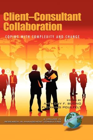 Cover of the book ClientConsultant Collaboration by Paul Davis