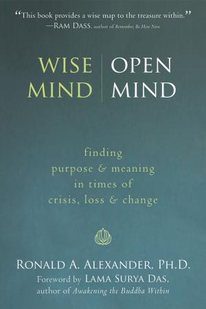 Cover of the book Wise Mind, Open Mind by Matthew McKay, PhD, Peter D. Rogers, Judith McKay