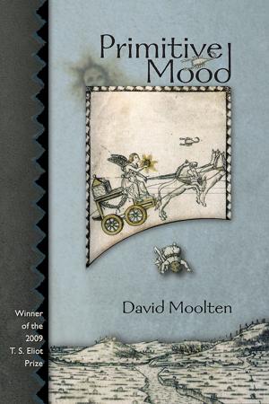 Cover of the book Primitive Mood by Carol V. Davis