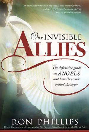 Cover of the book Our Invisible Allies by Charles Hunter