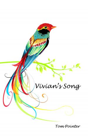 Cover of the book Vivian's Song by Jennifer Kay Lichty