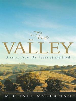 Cover of the book The Valley by Georgina Walker