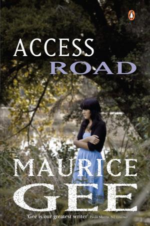 Cover of the book Access Road by Anthony King