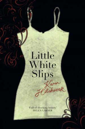 Book cover of Little White Slips