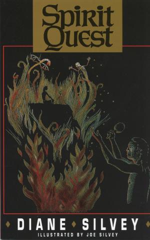 Book cover of Spirit Quest