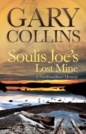 Cover of the book Soulis Joe's Lost Mine by Gary Collins