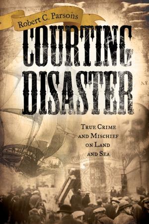 Book cover of Courting Disaster
