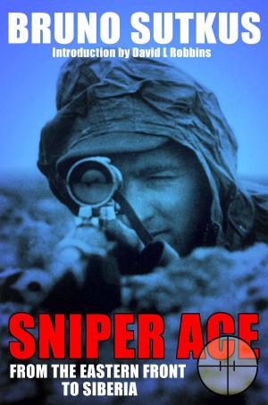 Cover of the book Sniper Ace by Stuart Reid