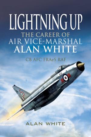Cover of the book Lightning Up by William Langford