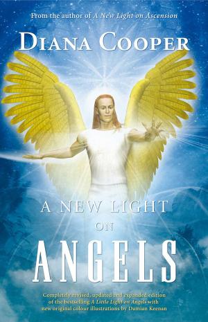 Cover of the book A New Light on Angels by Claire Nahmad